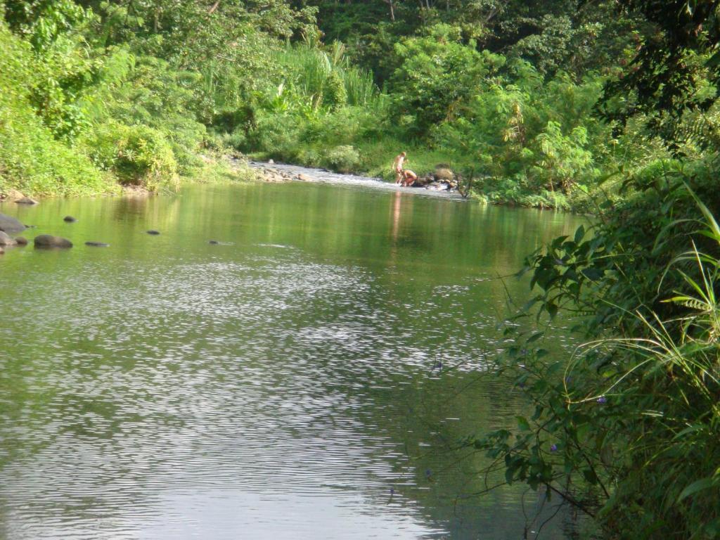 Hibiscus Valley Inn Marigot Chambre photo